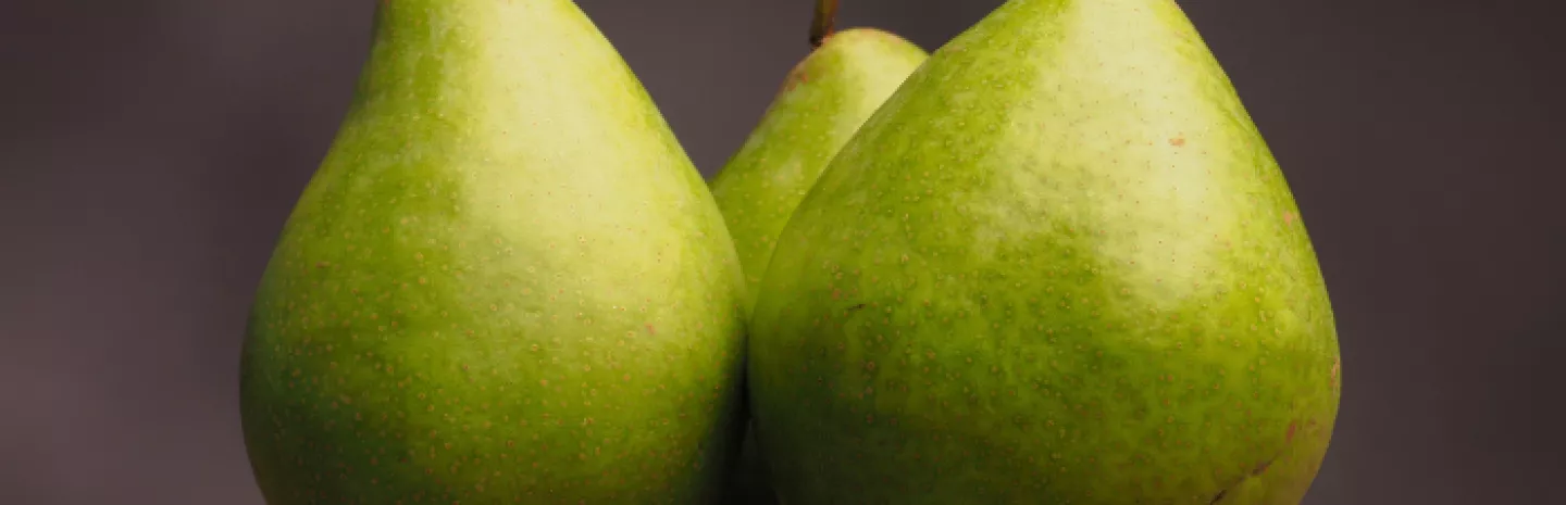 pears